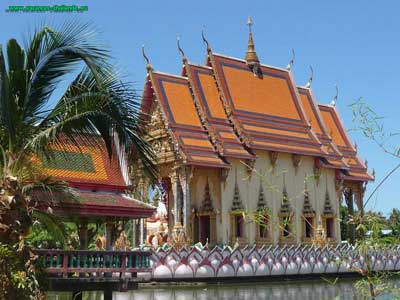 temple bouddiste de a Boput, Koh Samui, Un temple tres calme sur la route centrale de Samui. Quand bien meme beaucoup de temples se ressemblent, chacun d'eux a sa propre personnalite et son histoire. Les maisons des moines a cote des temples sont souvent dignes d'interet, certaines d'entre elles etant de style ancien. L'endroit est generalement tres tranquille, a moins qu'il n'y ait une ceremonie ou un festival. Dans tous les cas, vous apprecierez l'ombre apportee par de gigantesques arbres tres ages. 